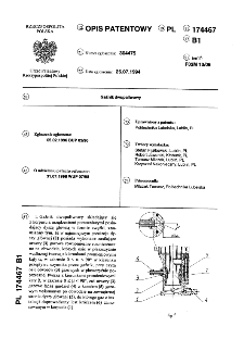 Gaźnik dwu paliwowy : opis patentowy nr 174467