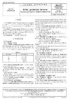 Kotły grzewcze żeliwne - Ogólne wymagania i badania techniczne BN-87/1317-01